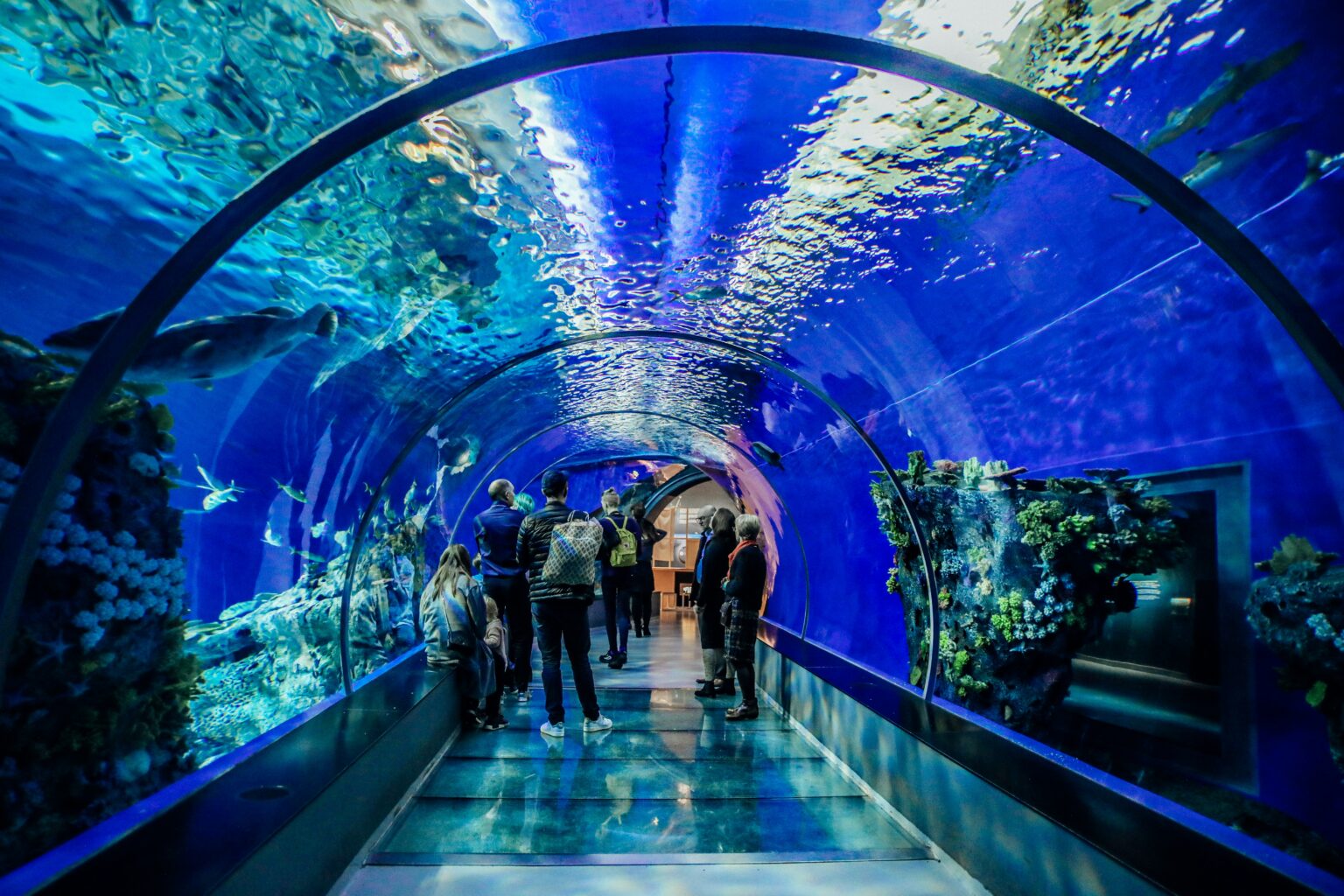 A vibrant image of the Dubai Mall Aquarium, showcasing a diverse array of colorful fish and marine creatures swimming in a massive tank, with visitors admiring the view from behind a glass panel.