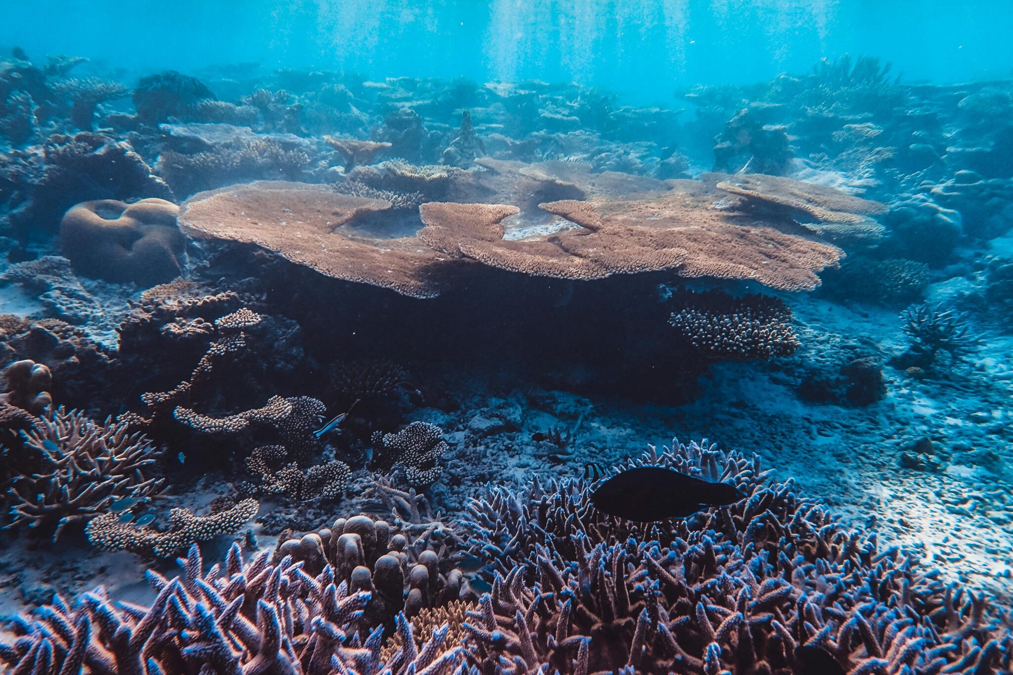 don’t touch the coral reefs